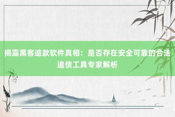 揭露黑客追款软件真相：是否存在安全可靠的合法追债工具专家解析