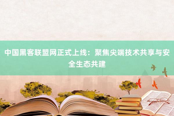 中国黑客联盟网正式上线：聚焦尖端技术共享与安全生态共建