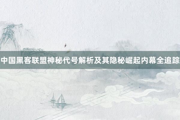 中国黑客联盟神秘代号解析及其隐秘崛起内幕全追踪