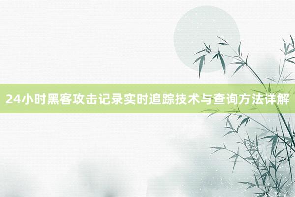 24小时黑客攻击记录实时追踪技术与查询方法详解